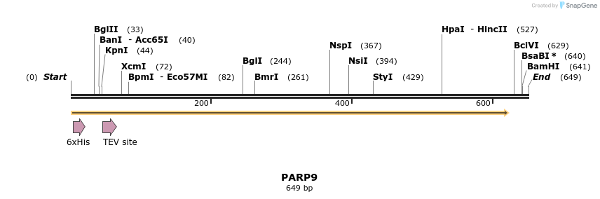 134770_map