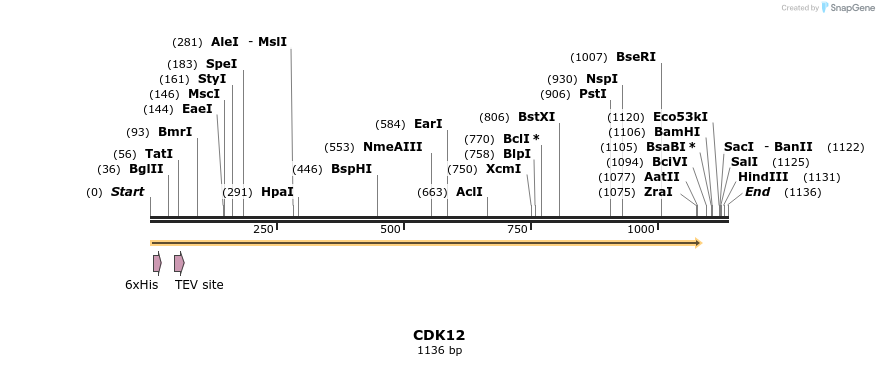 134772_map