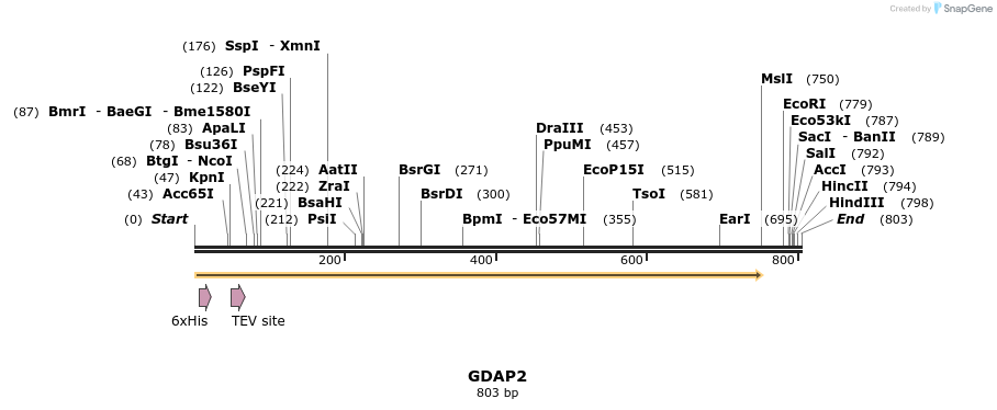 134773_map