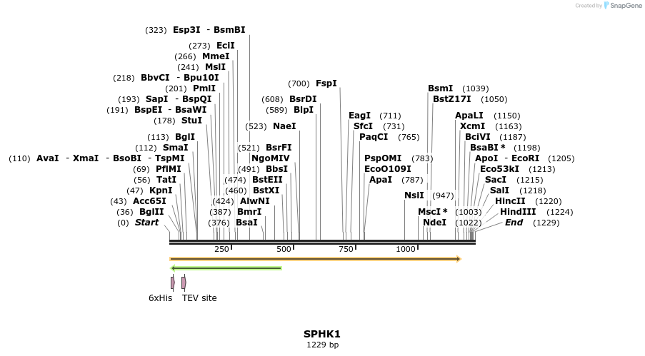 134774_map