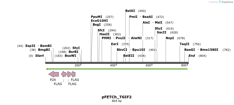 134781_map