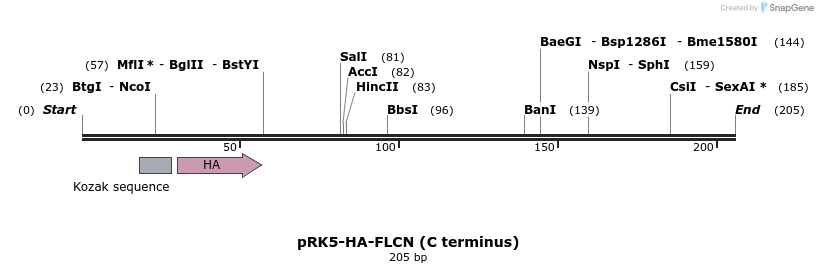 134796_map