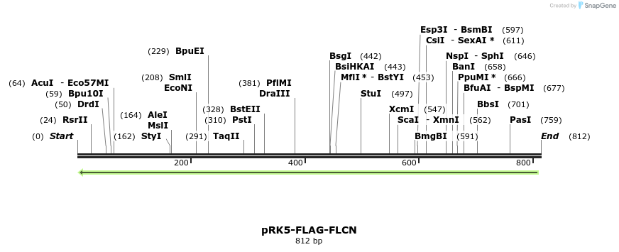 134798_map