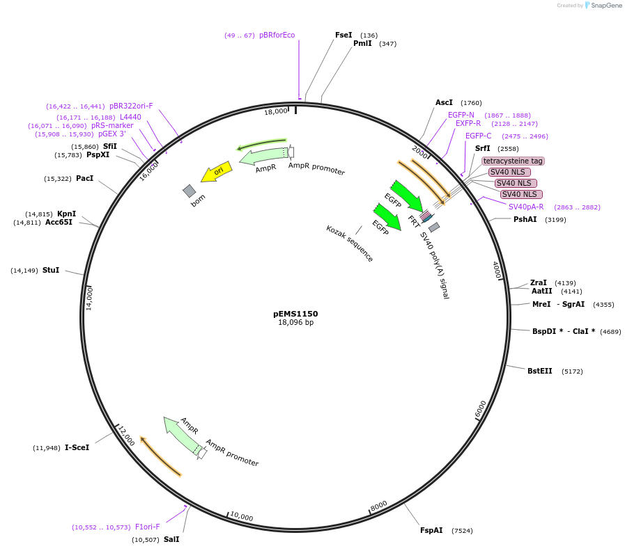 13480_map