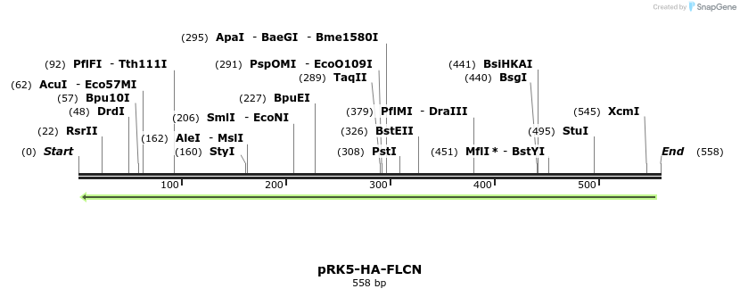 134800_map