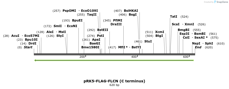 134801_map