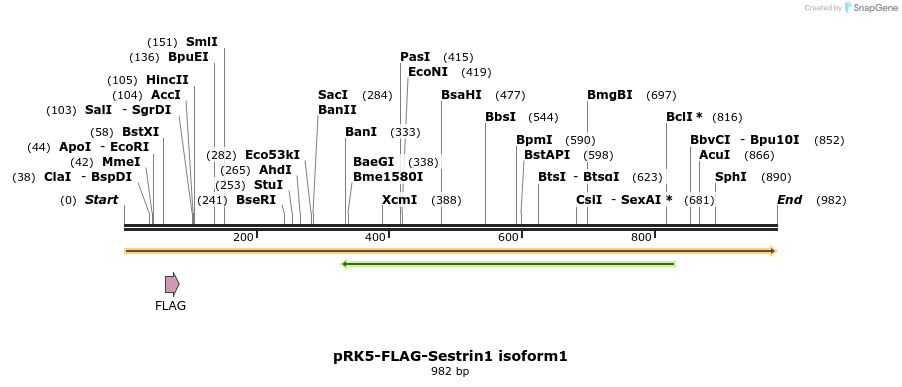 134804_map