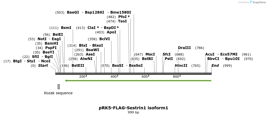 134805_map