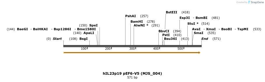 134813_map