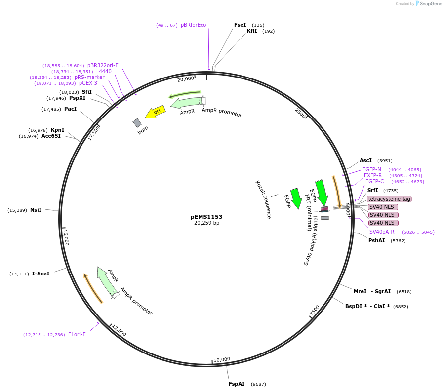 13483_map