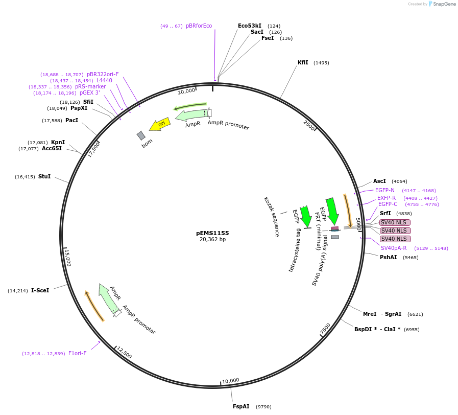 13485_map