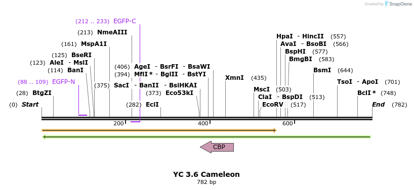 134850_map