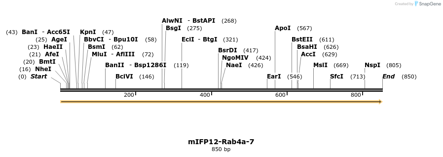 134852_map