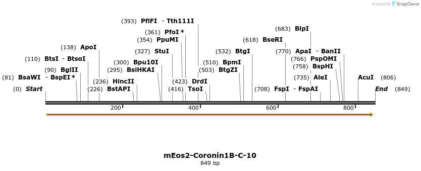 134853_map