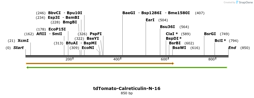 134855_map