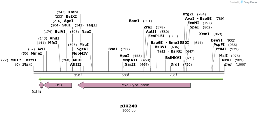 134863_map