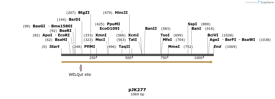 134865_map
