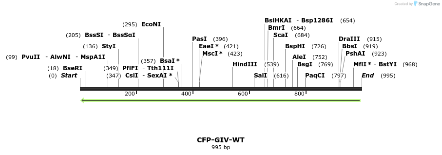 134871_map