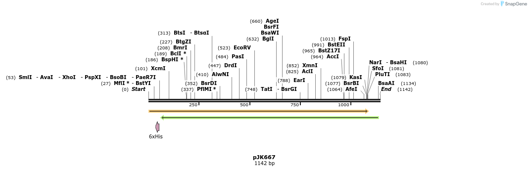 134873_map