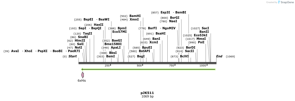 134875_map