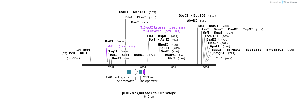 134876_map