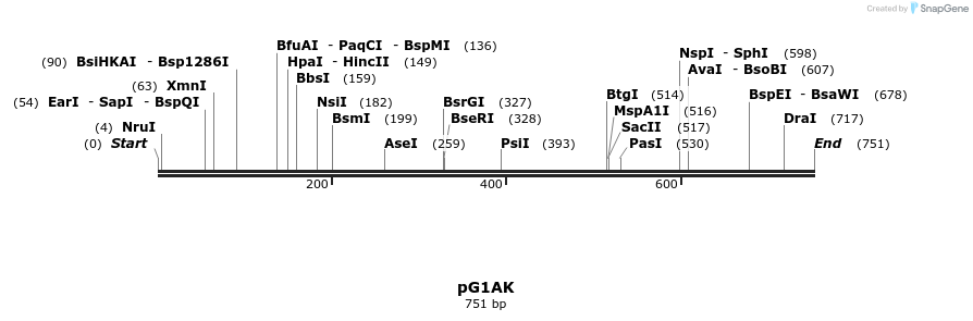 134880_map