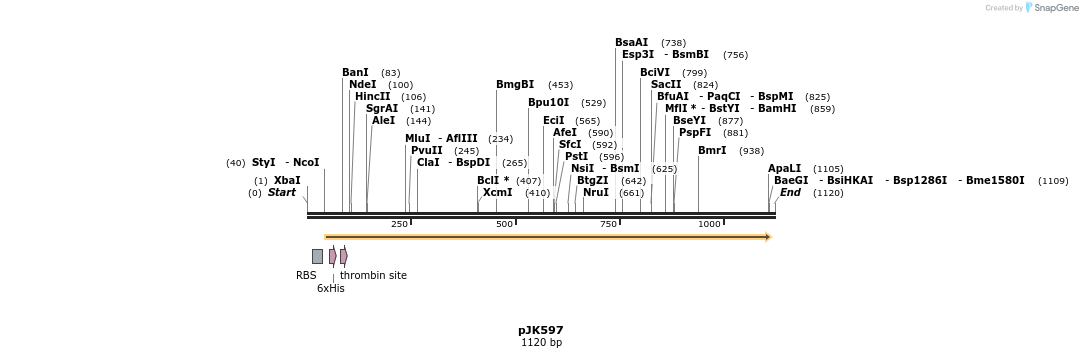134881_map