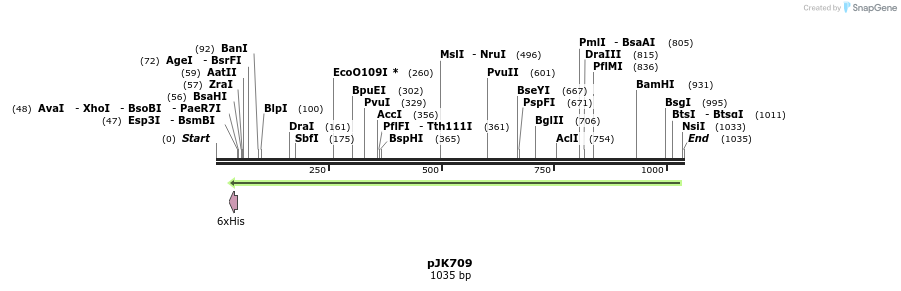 134884_map