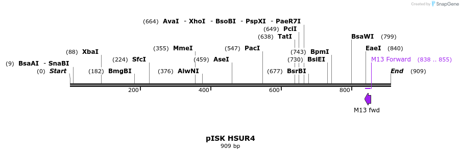 134885_map