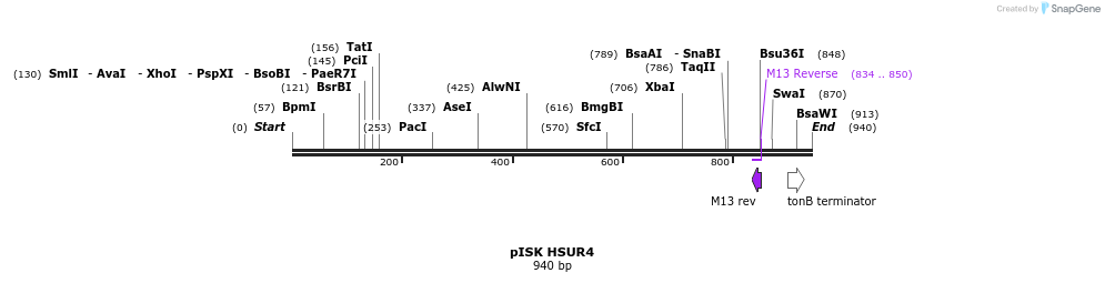 134886_map