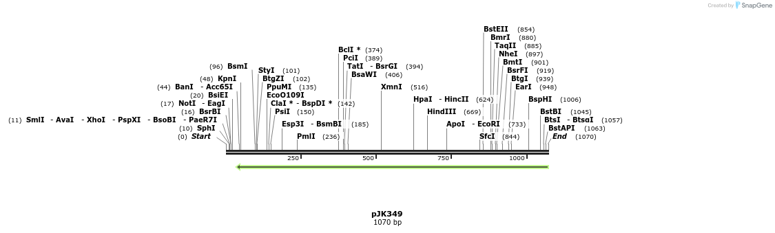 134887_map