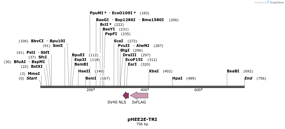 134889_map