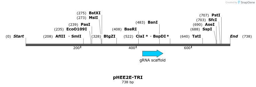 134892_map