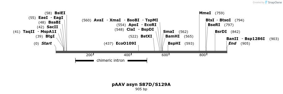 134894_map