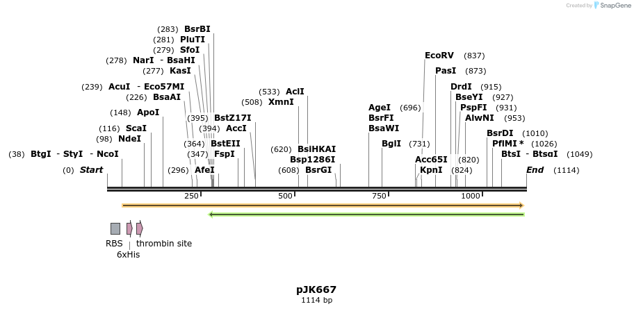 134895_map