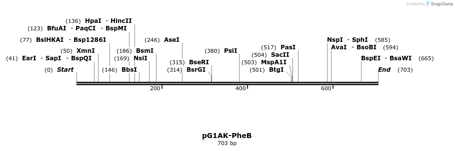 134898_map