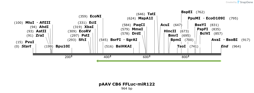 134899_map