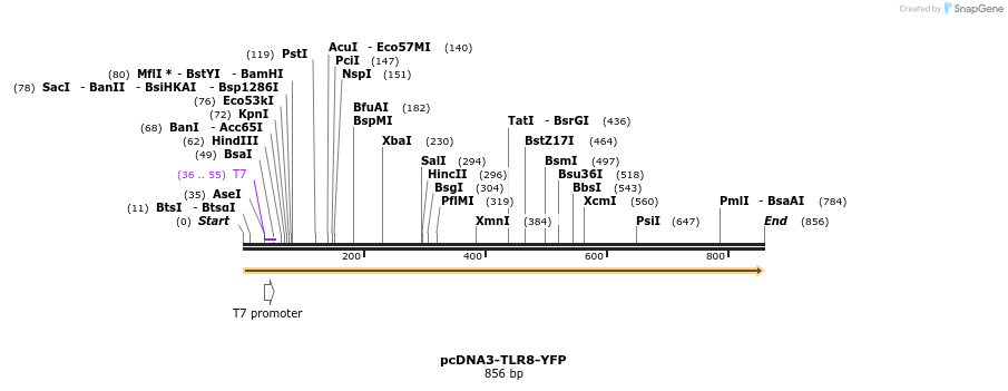 134910_map