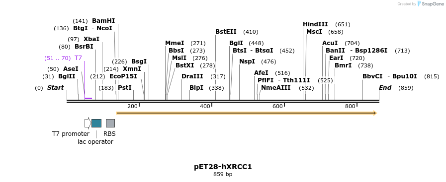 134912_map