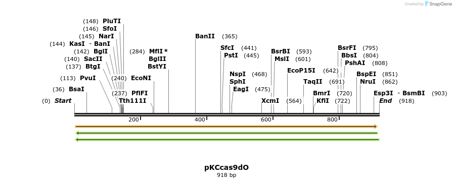 134914_map