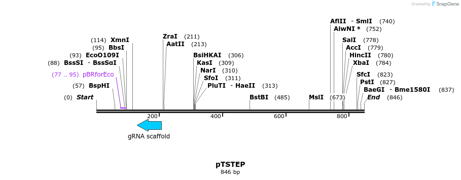134915_map