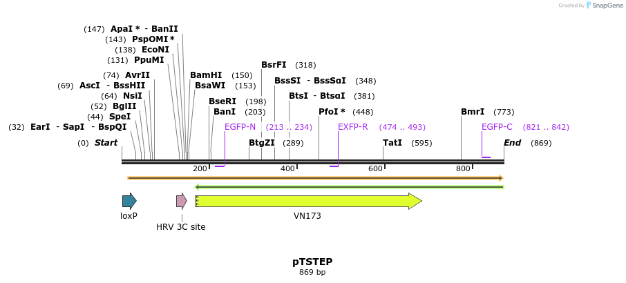 134916_map