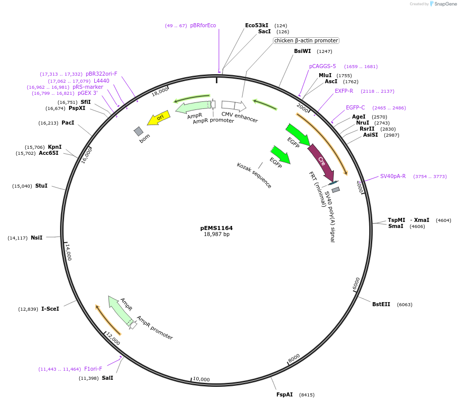 13494_map