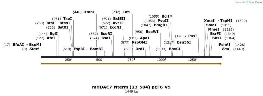 134951_map