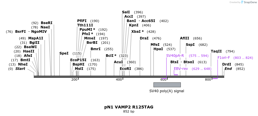 134952_map