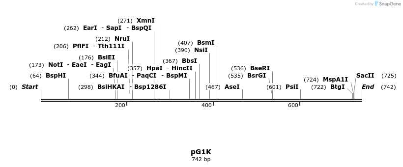 134961_map