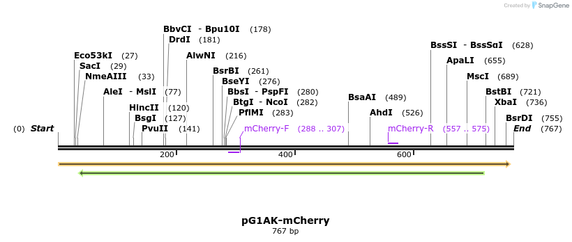 134962_map