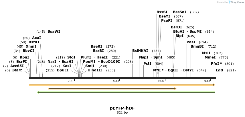 134968_map