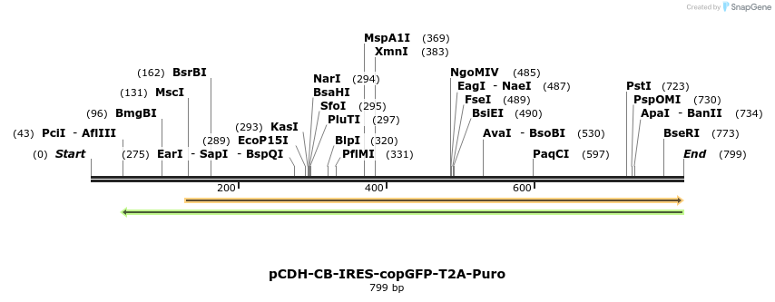 134987_map