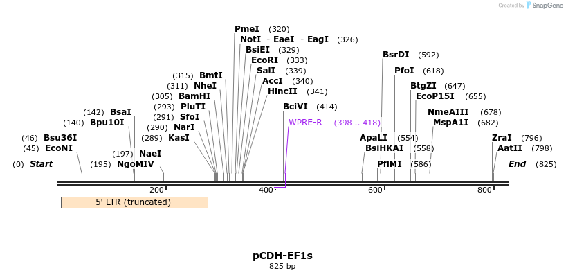 134993_map